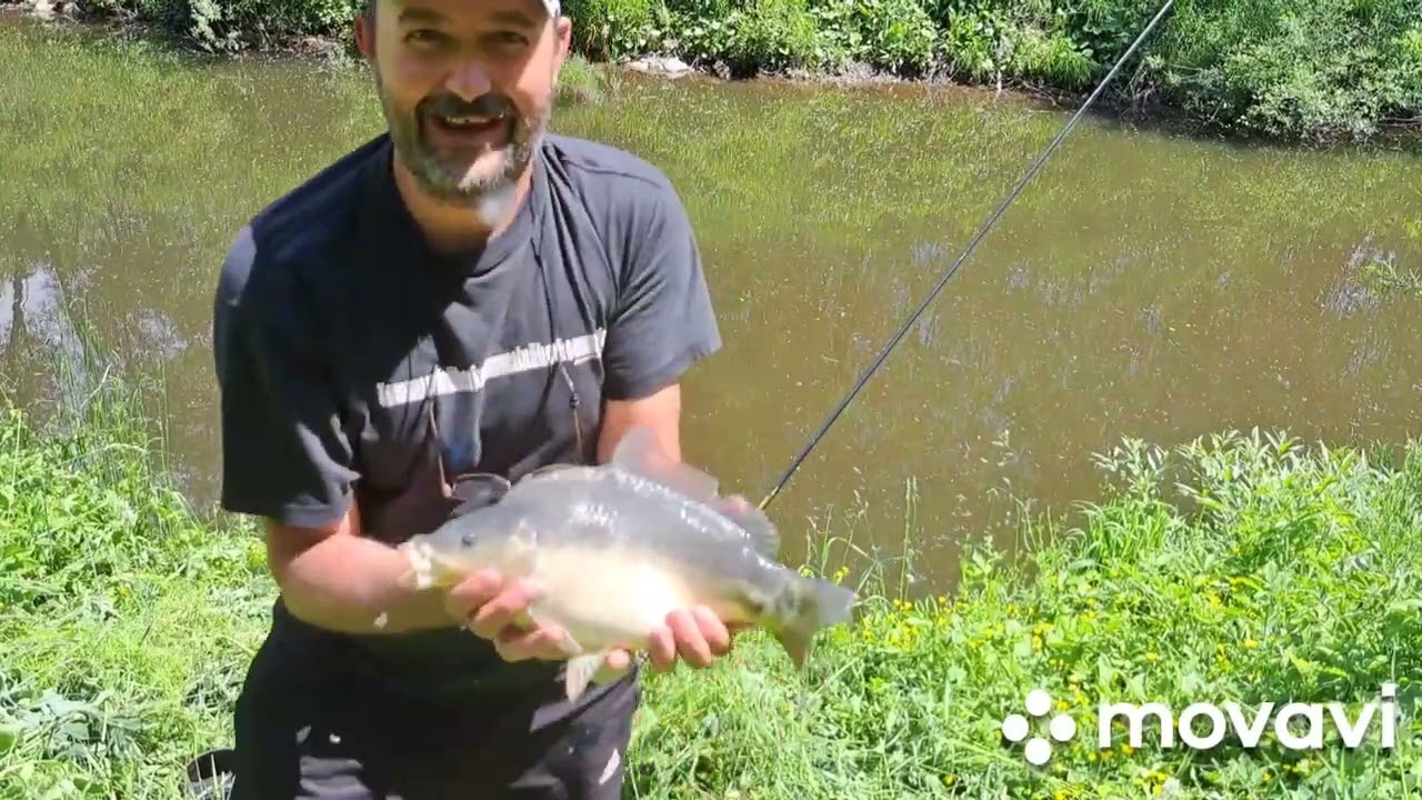 PESCUIT LA PLUTĂ