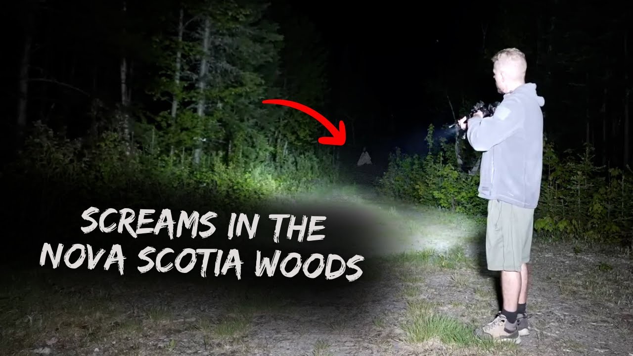 Screams in the Nova Scotia Woods