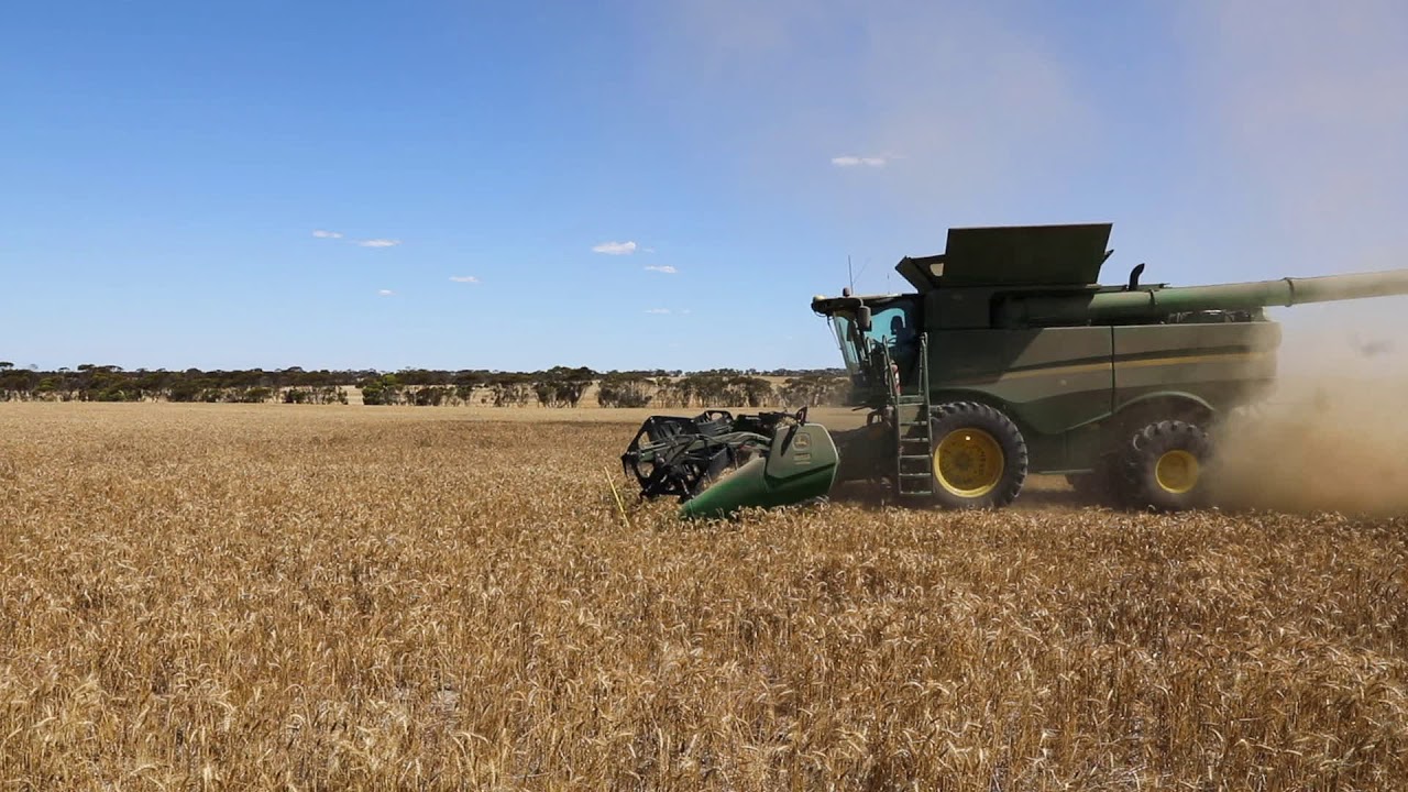 Seed Terminator + Duane Jury, Nyabing WA