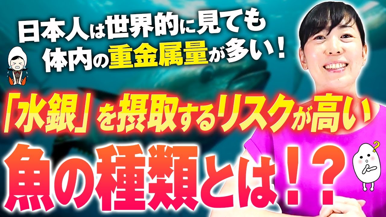 【魚と水銀】安心して食べられる魚の量と種類とは？健康リスクとデトックス力を理解して安全に魚を食べる考え方【お米生活６：４】