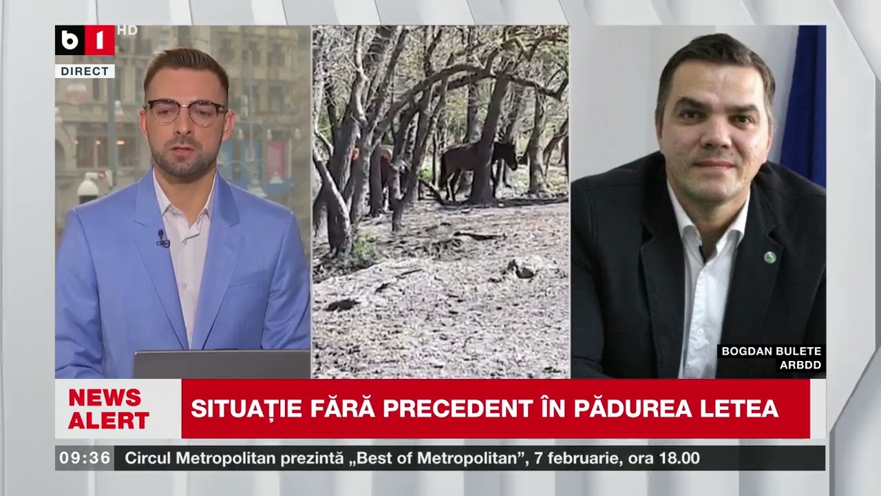 CAII SĂLBATICI DIN DELTĂ MOR DE FOAME. B. BULETE, ARBDO, CU DETALII_Știri B1TV_6 febr. 2026