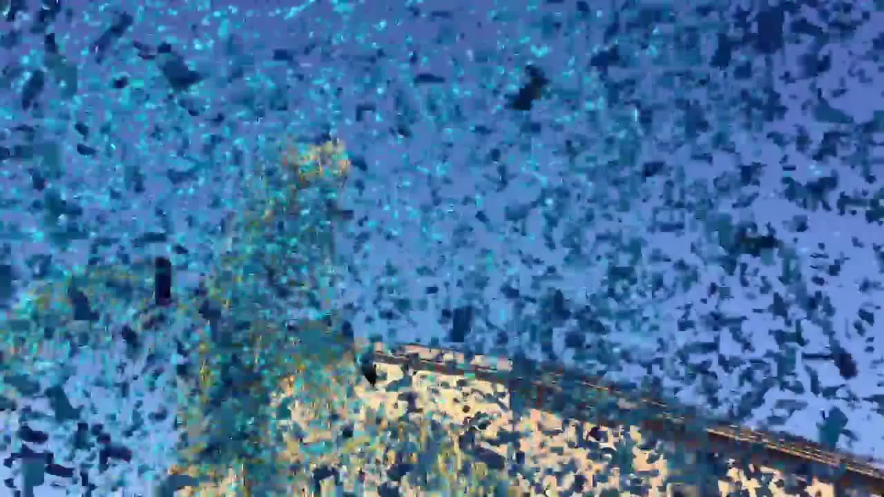 Confetti Gender Reveal