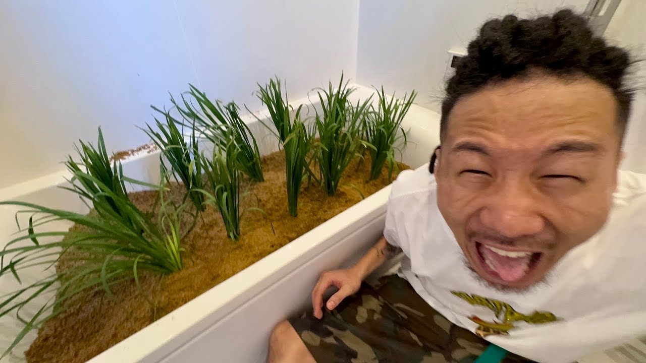 MYの家のお風呂を田んぼにしてみた【ドッキリ】