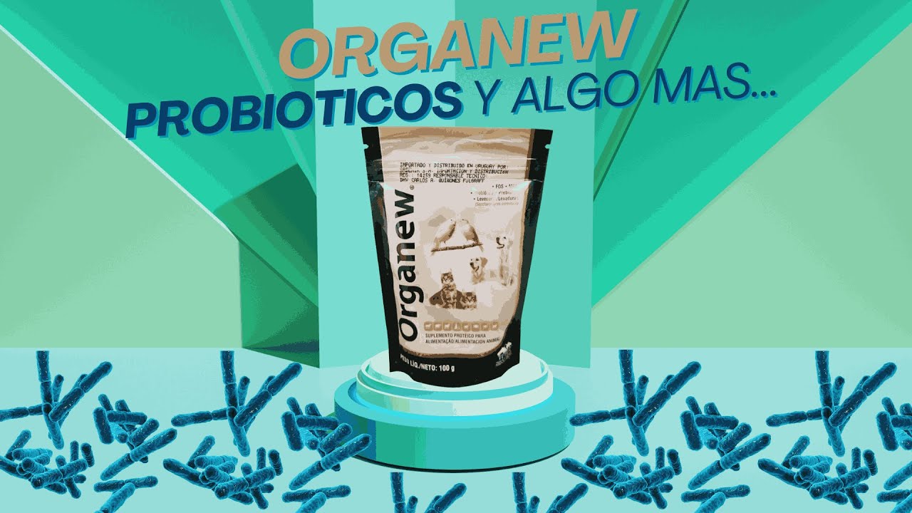 ¡ALERTA MASCOTEROS!🚨|FÓRMULA PROBIÓTICA QUE CAMBIARÁ SU SALUD🔁💚|ORGANEW: MÁS QUE SUPLEMENTO🛡️💊