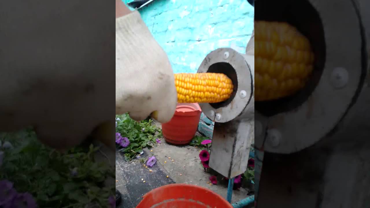 чем шелушить кукурузу.