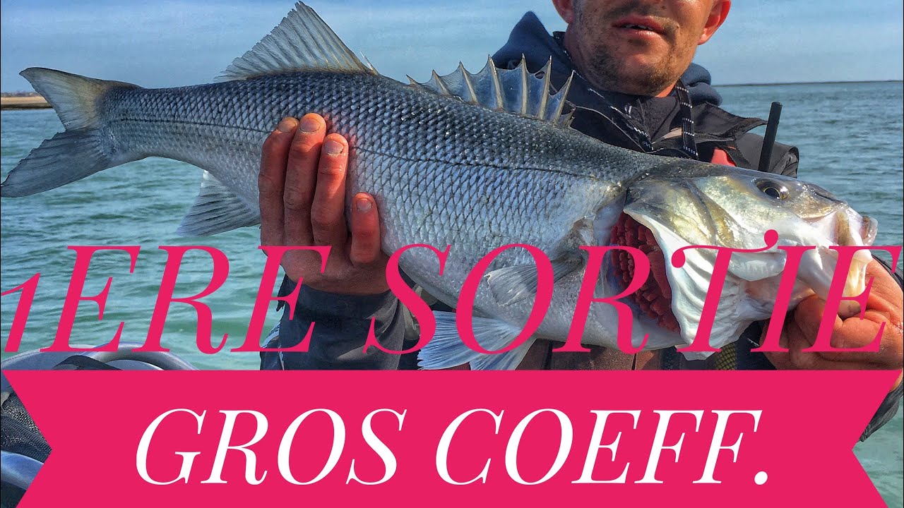 PÊCHE DU BAR EN KAYAK GROS COEFF DU VENT ET UN GROS FISH😀