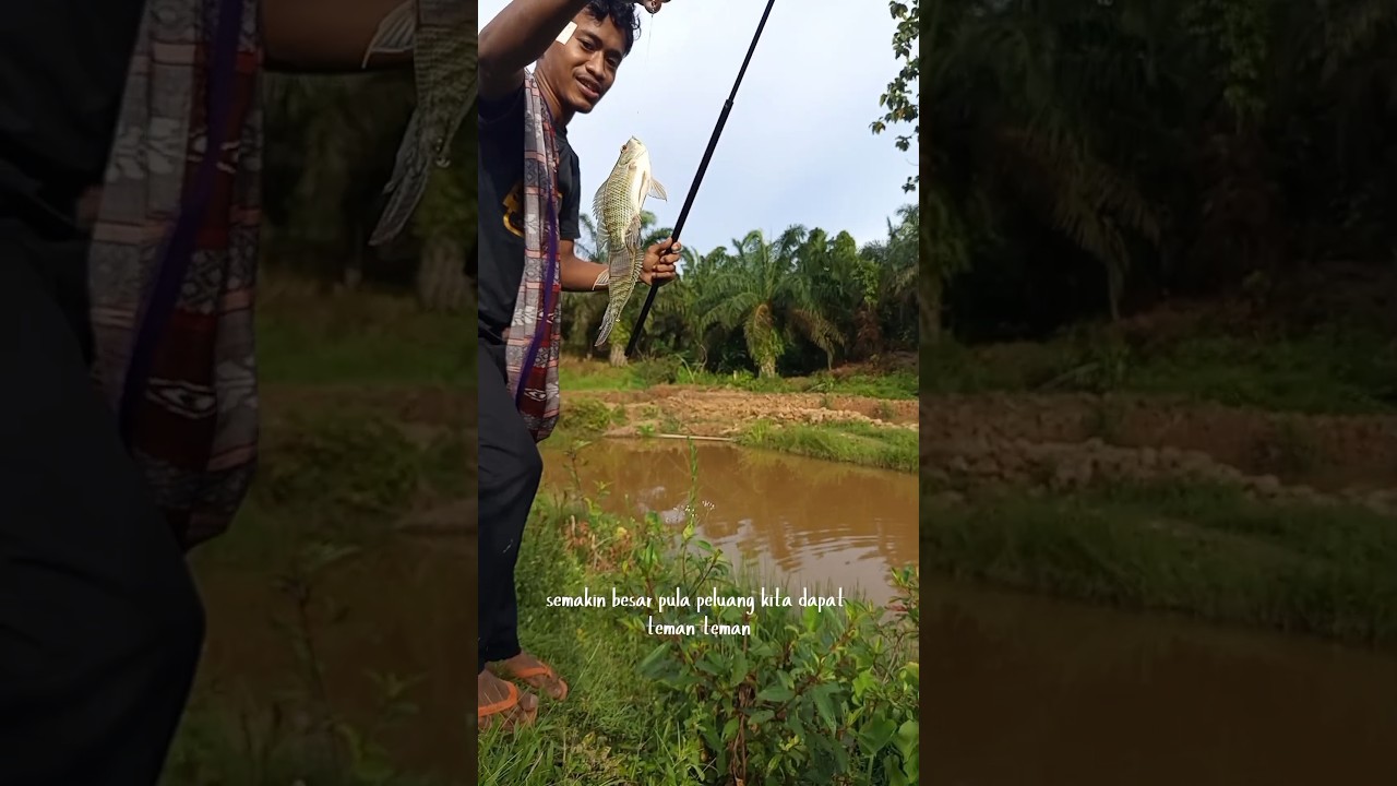 Cara jitu mancing nila 