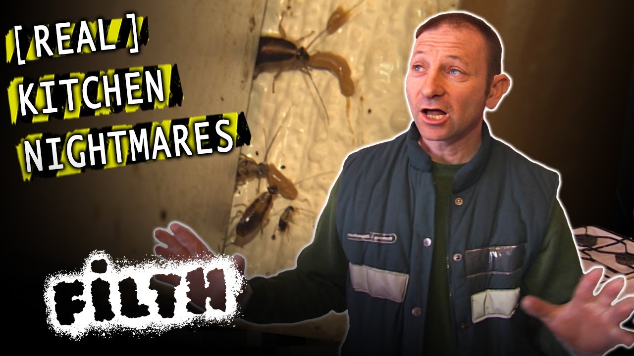 Exterminator Vs. Cockroach Infestation (feat. Pest-Control Pete)