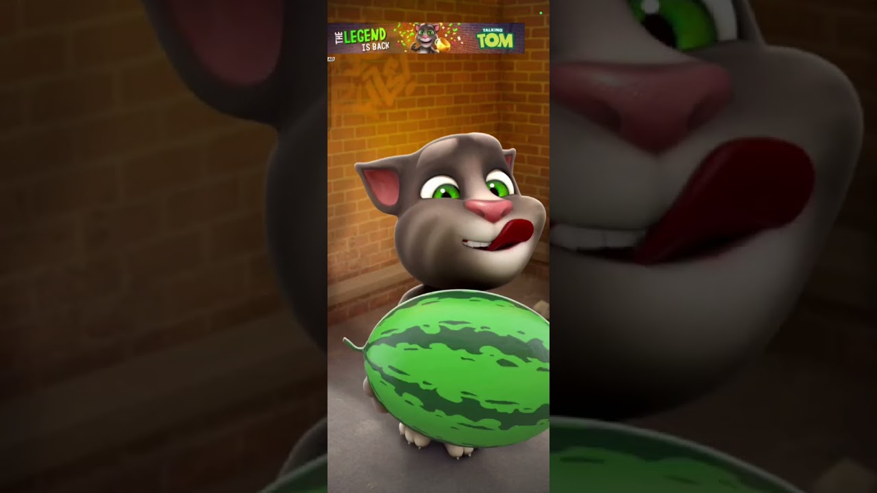 talking tom cat 