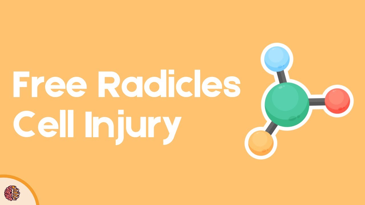 Free Radical-Mediated Cell Injury: Mechanisms and Pathology Explained