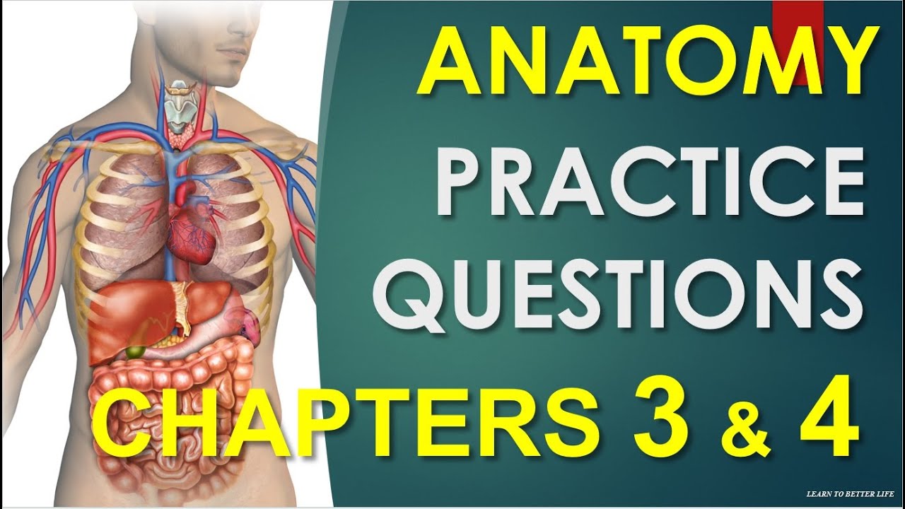 Chapters 3 &4 Anatomy/Physiology practice questions