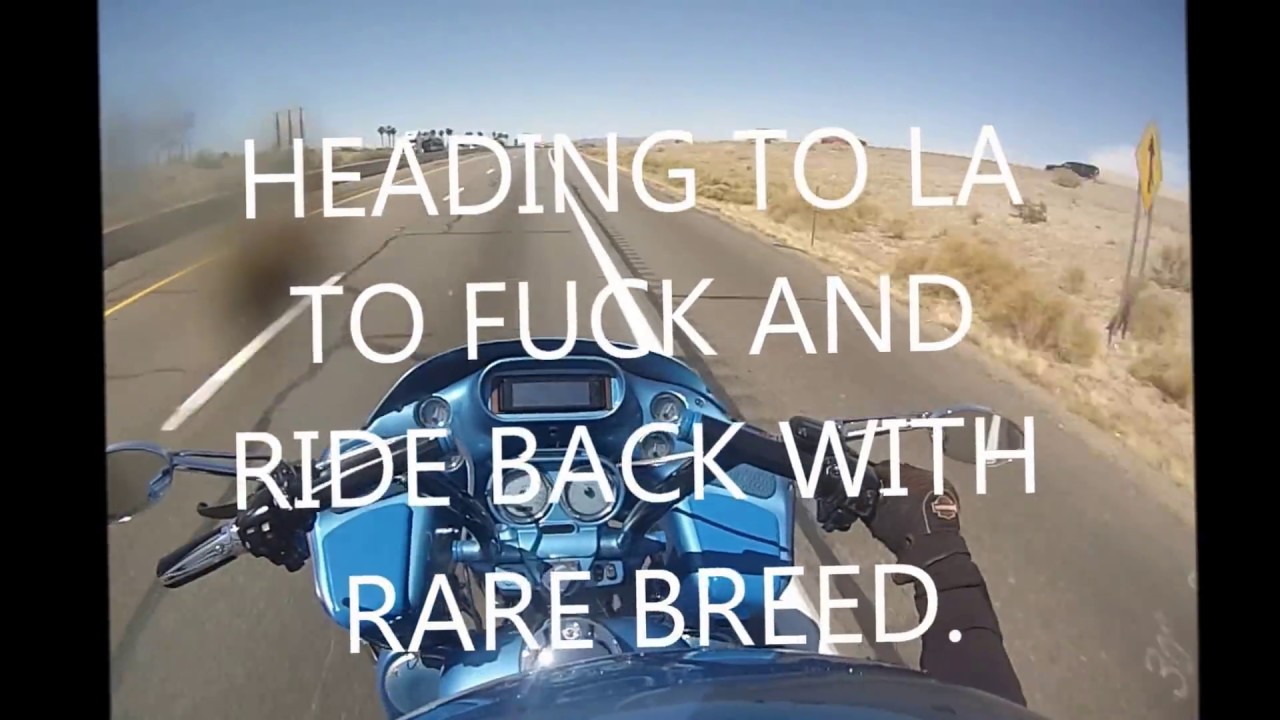 FAST HARLEYS ONLY RUN WHAT YOU BRUNG ARIZONA 2013