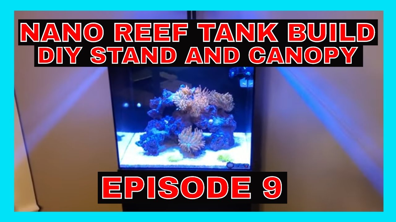 Nano Reef Tank Build - DIY Stand And Canopy - Episode 9
