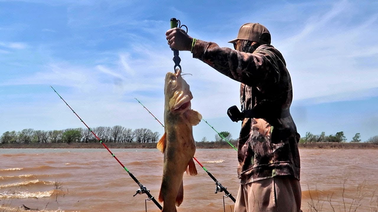 Springtime Flatheads & Blue Catfish! (Bank Fishing)