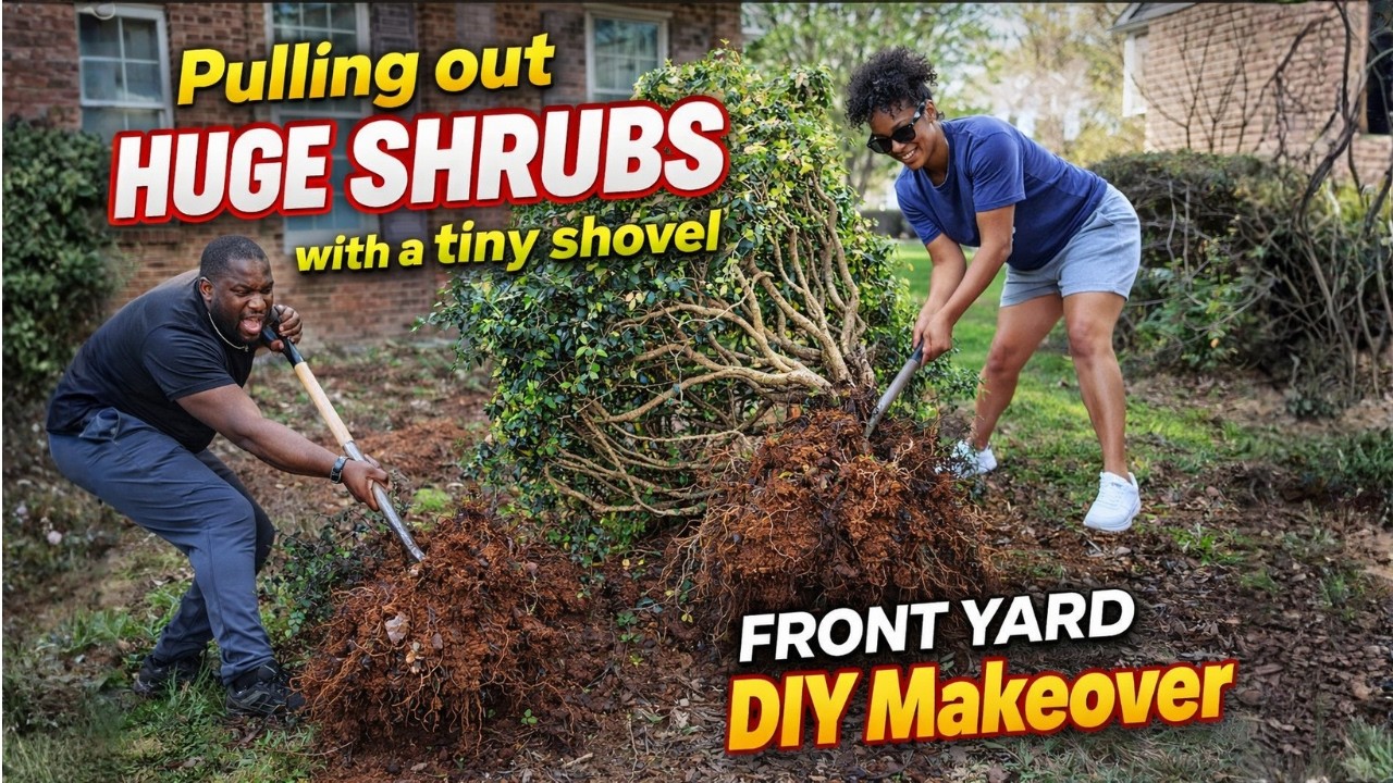 Front Yard Transformation Begins!&nbsp;| Pulling Out Massive Shrubs DIY Landscaping Vlog