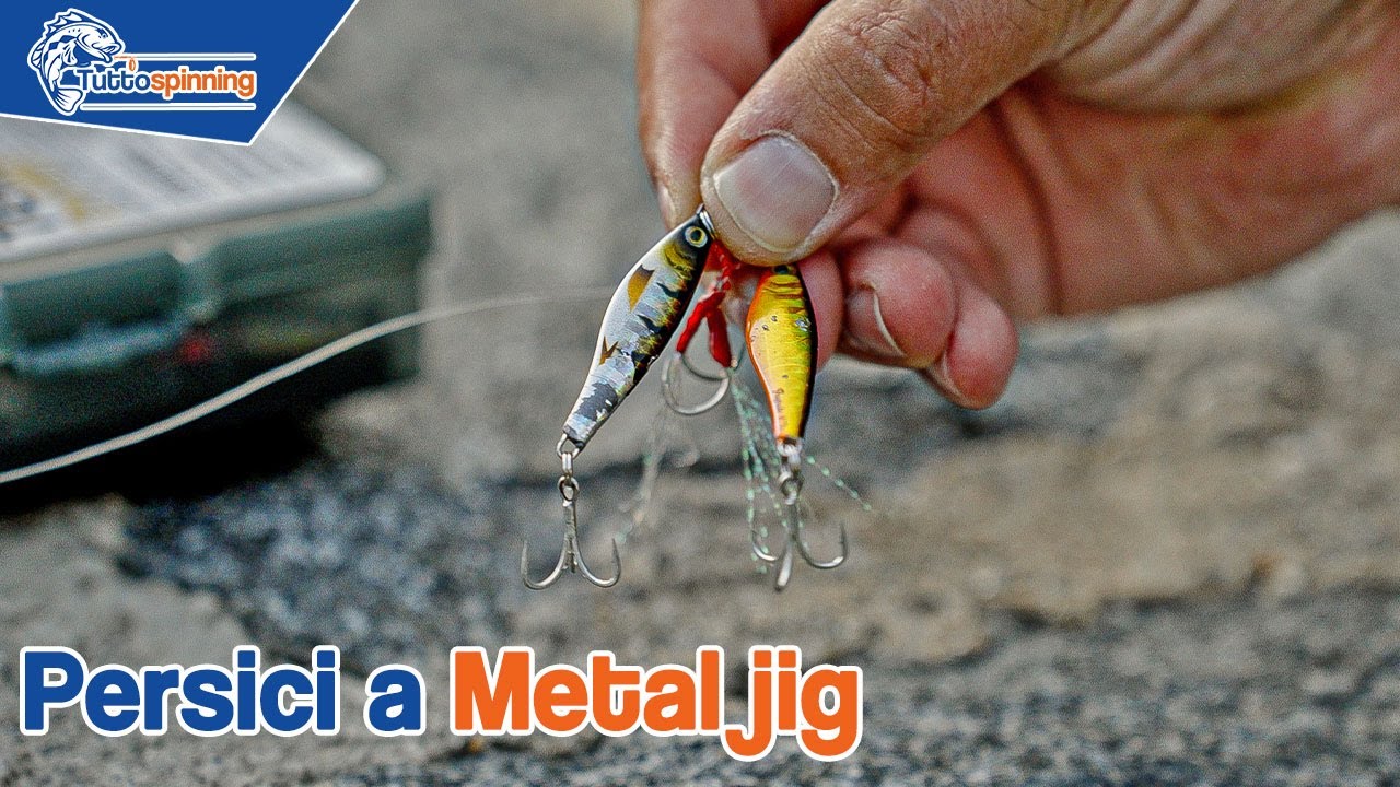 PERSICI a METAL JIG con il JUGULO WIDE di @molix_official