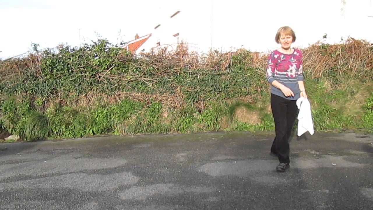Some Basic Morris Steps.