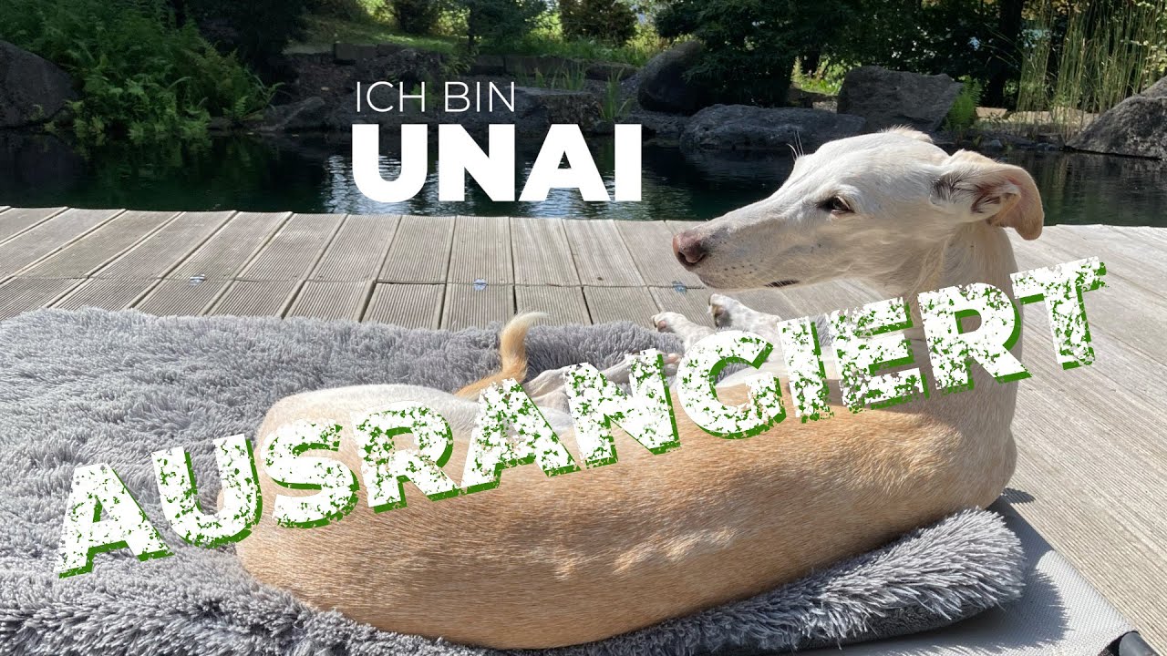 Ich habe überlebt - Unai
