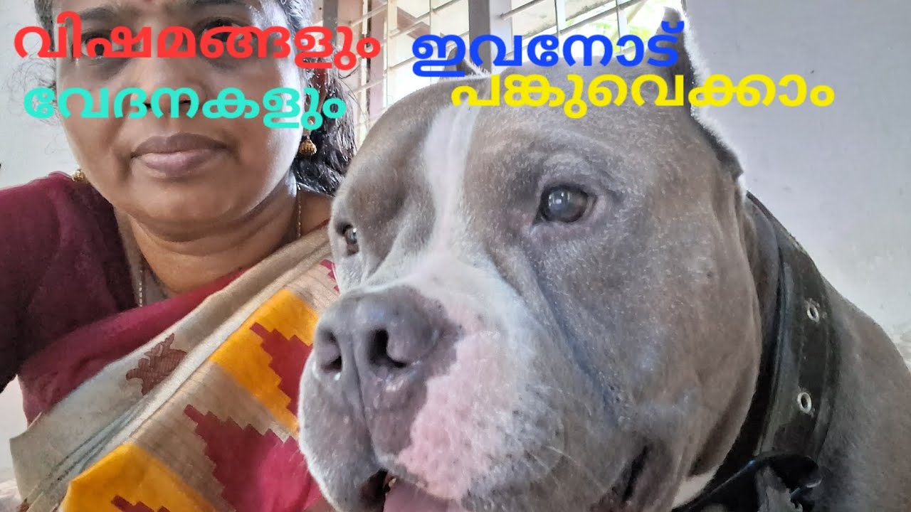 എല്ലാവിഷമങ്ങളും പങ്കുവെക്കാൻ ഇവൻ മതി 