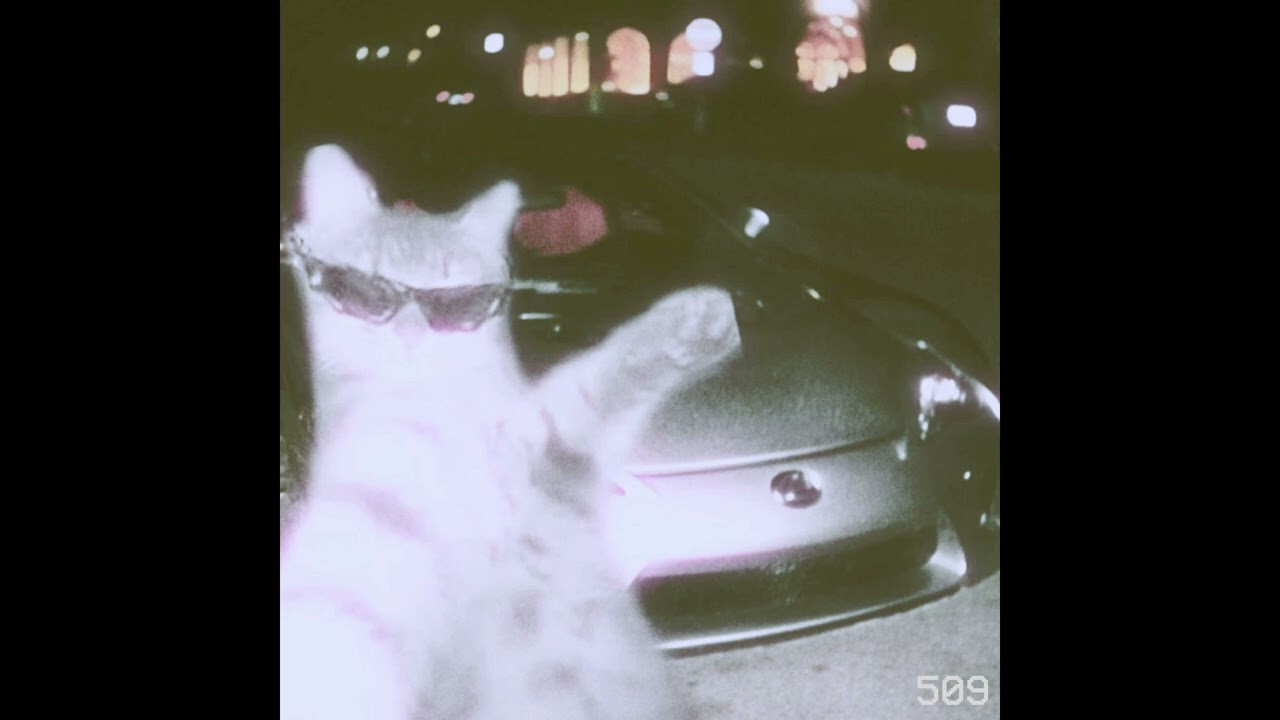 [FREE] CHILL PHONK TYPE BEAT 