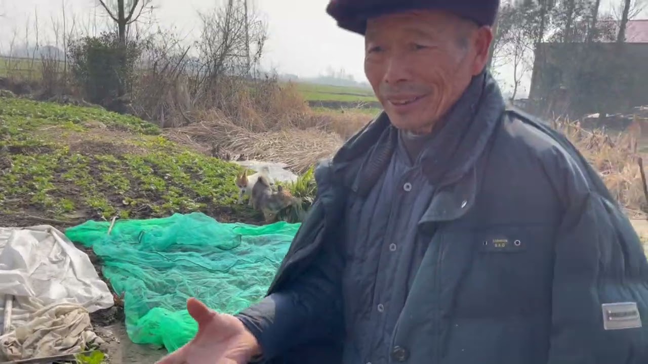 Rural Vegetable Garden 农村菜地日常
