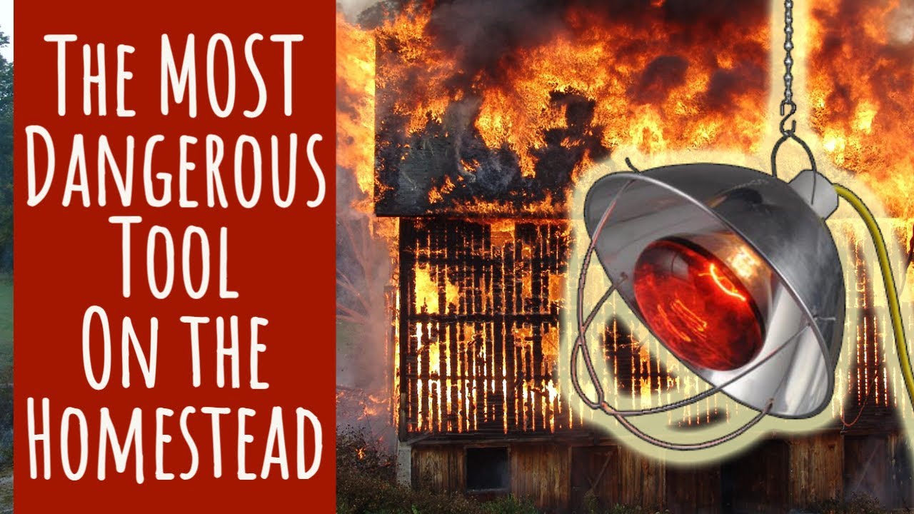 The Most Dangerous Tool on the Homestead | Heat Lamps