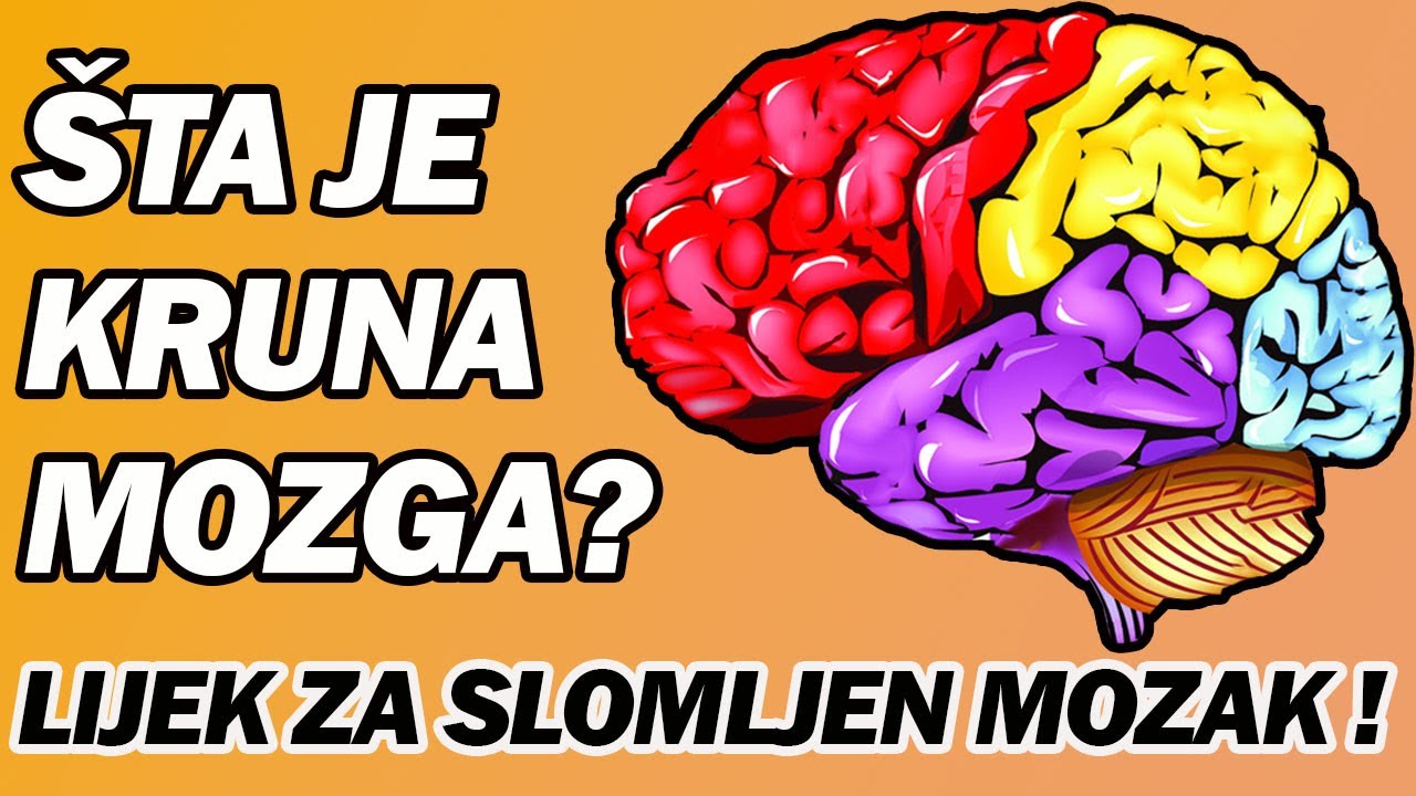 NAJBOLJA HRANA ZA ČEONI REŽANJ (CENTAR ZA MIŠLJENJE, VOLJU I INTELEKT)! Dr Mihajlović