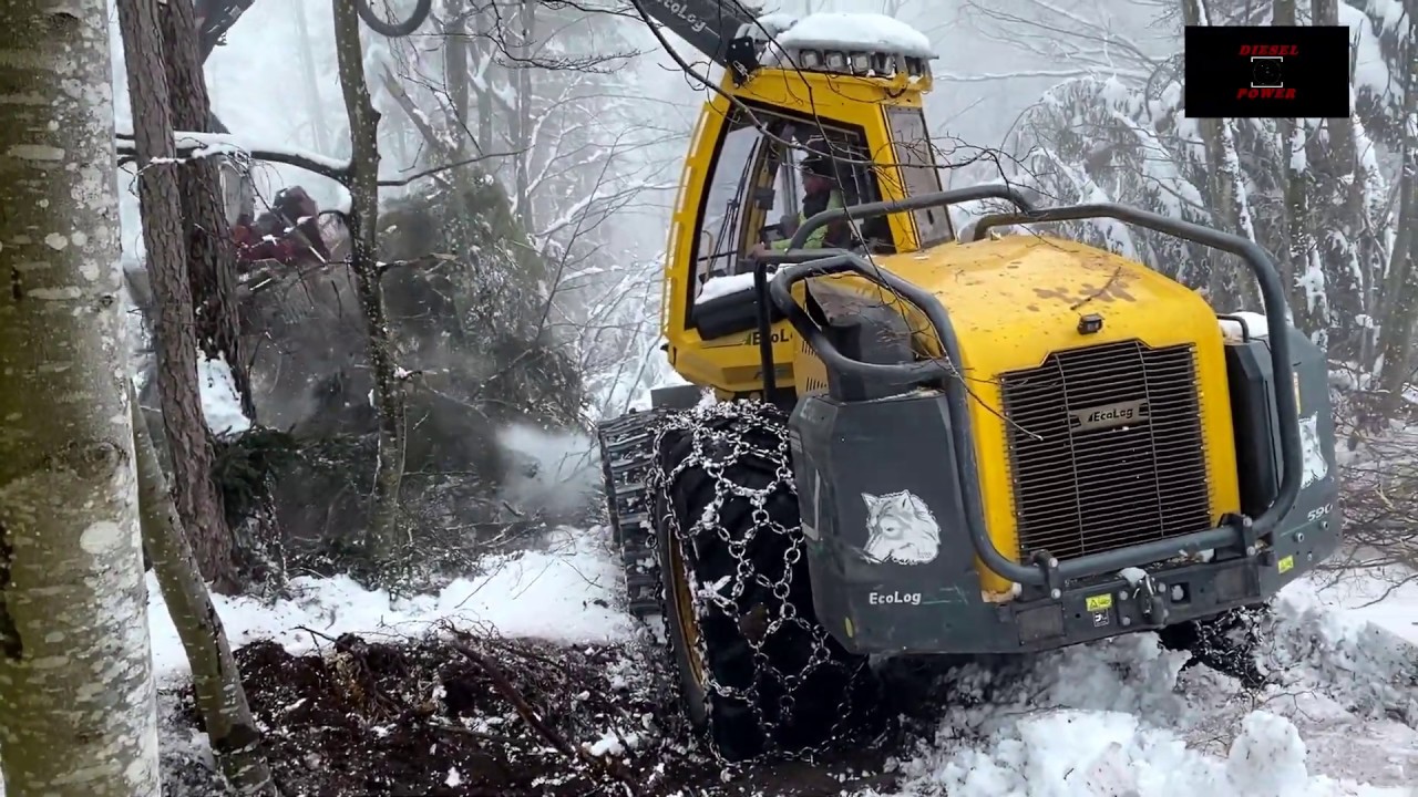 Schnee^Schnee 》 Snow^Snow 》 Perfekt 》 All Terrain Logging 》 Stihl MS 462