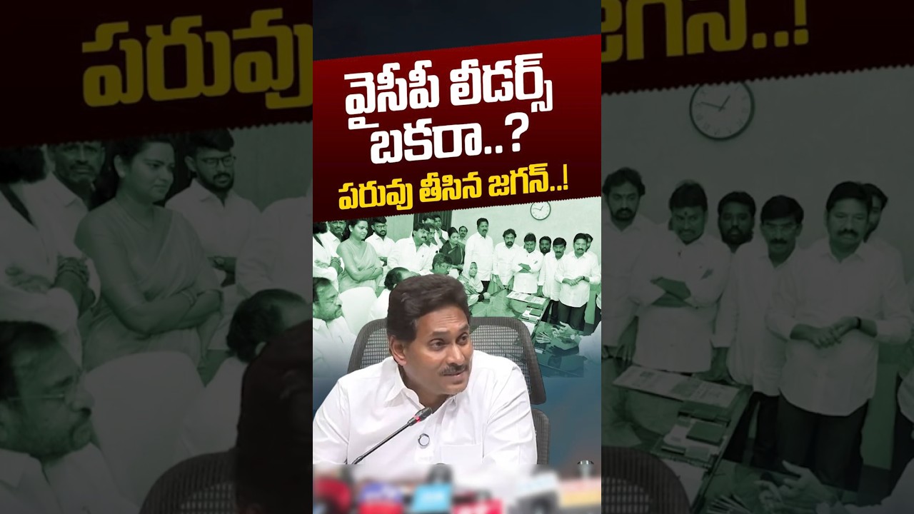 వైసీపీ లీడర్స్ బకరా..? పరువు తీసిన జగన్&zwnj;..! | YS Jagan Shock To YCP Leaders | TDP | Nethra Tv Telugu