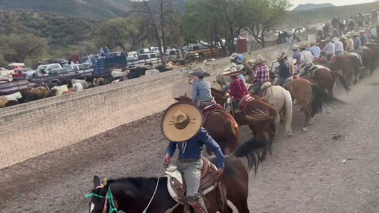 Coliadera Galeana suscríbete 