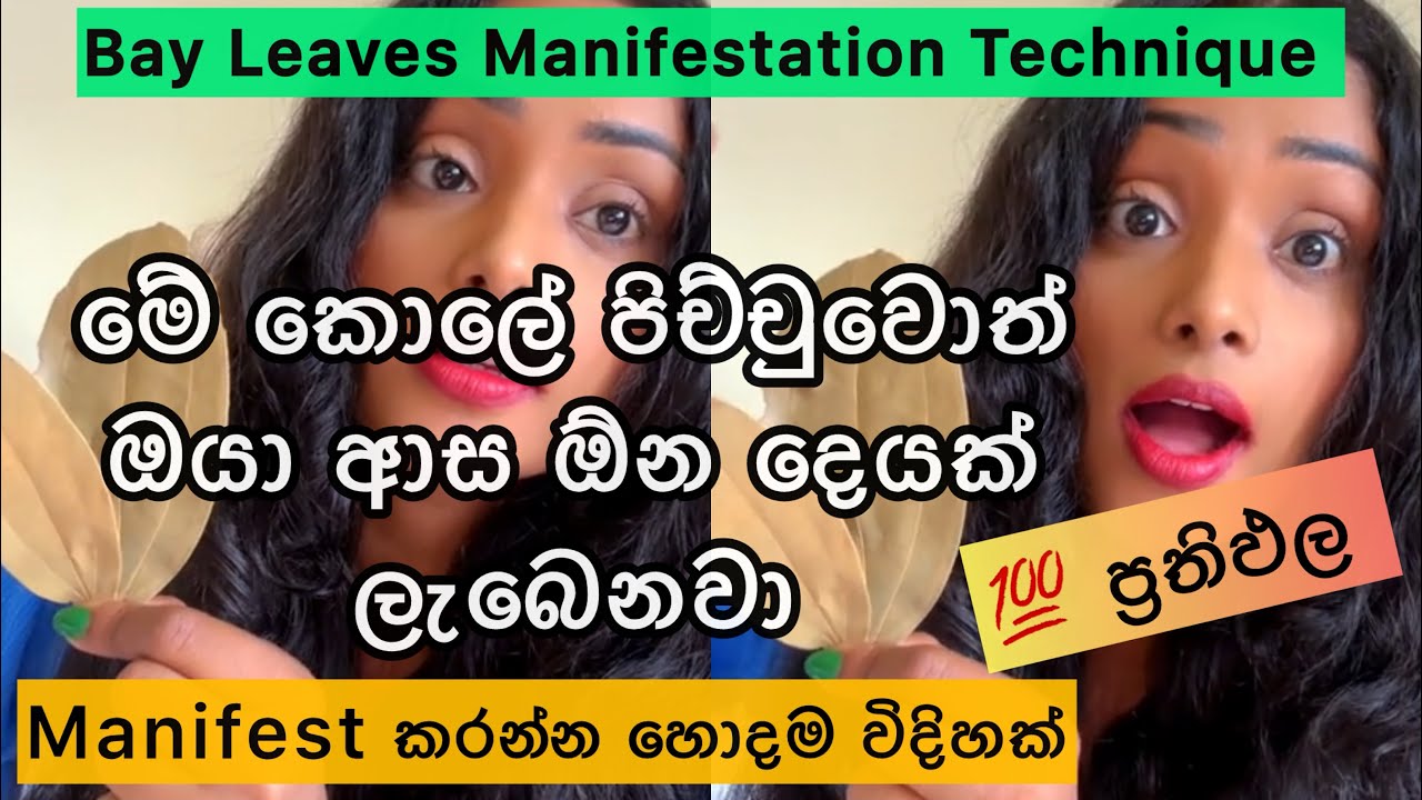 Bay Leaves වලින් හරියටම manifest කරන විදිහ ගැන හැමදේම🍃 