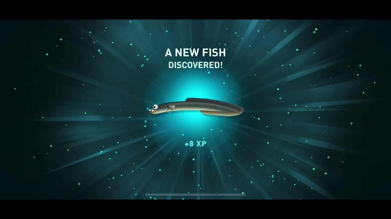 European Eel - creatures of the deep