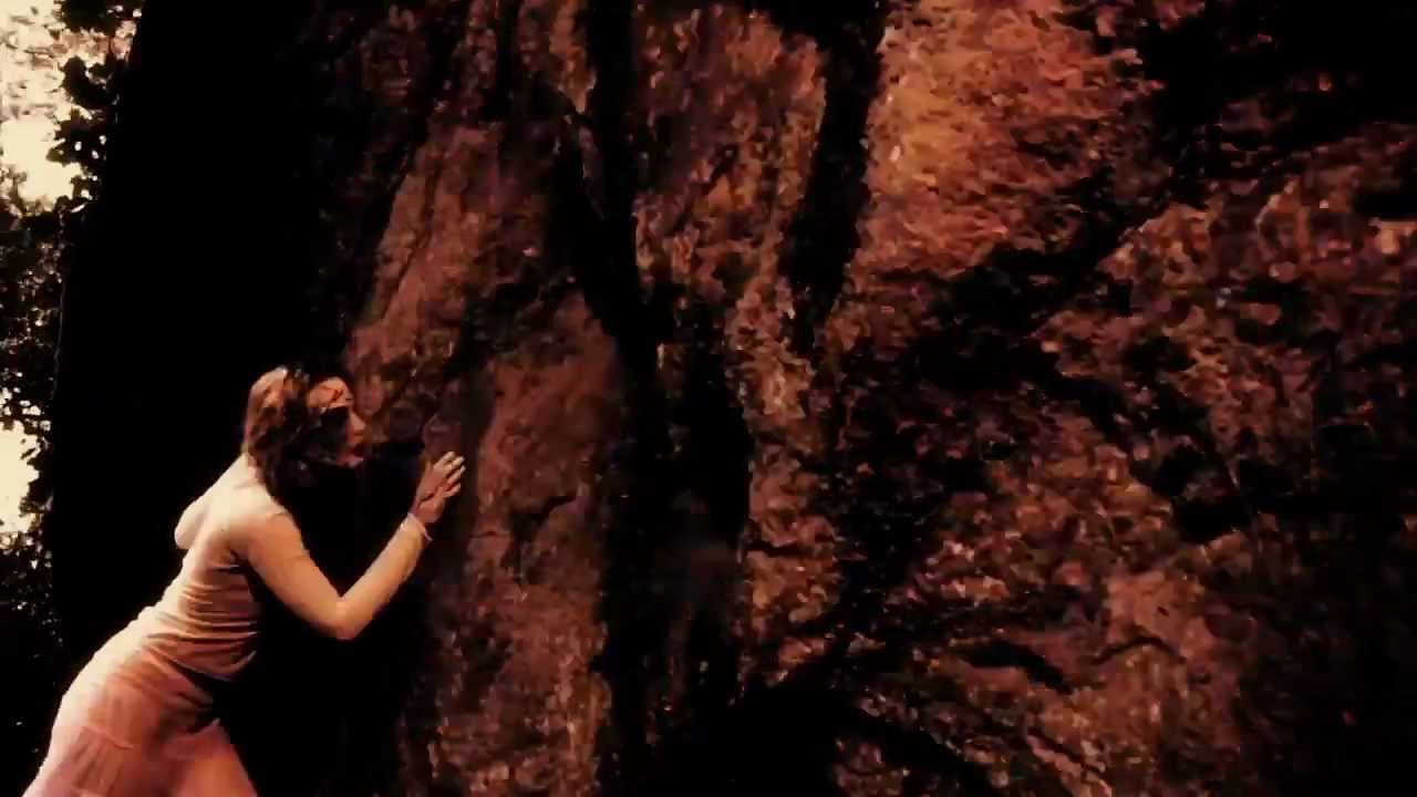 SPHERIC UNIVERSE EXPERIENCE - The Day I Died  (Official Nightmare /Sony/RED)