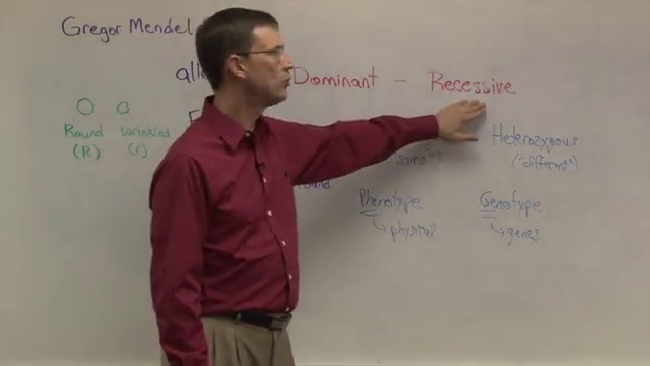 Biology 1107 - Genetics and Punnett Squares