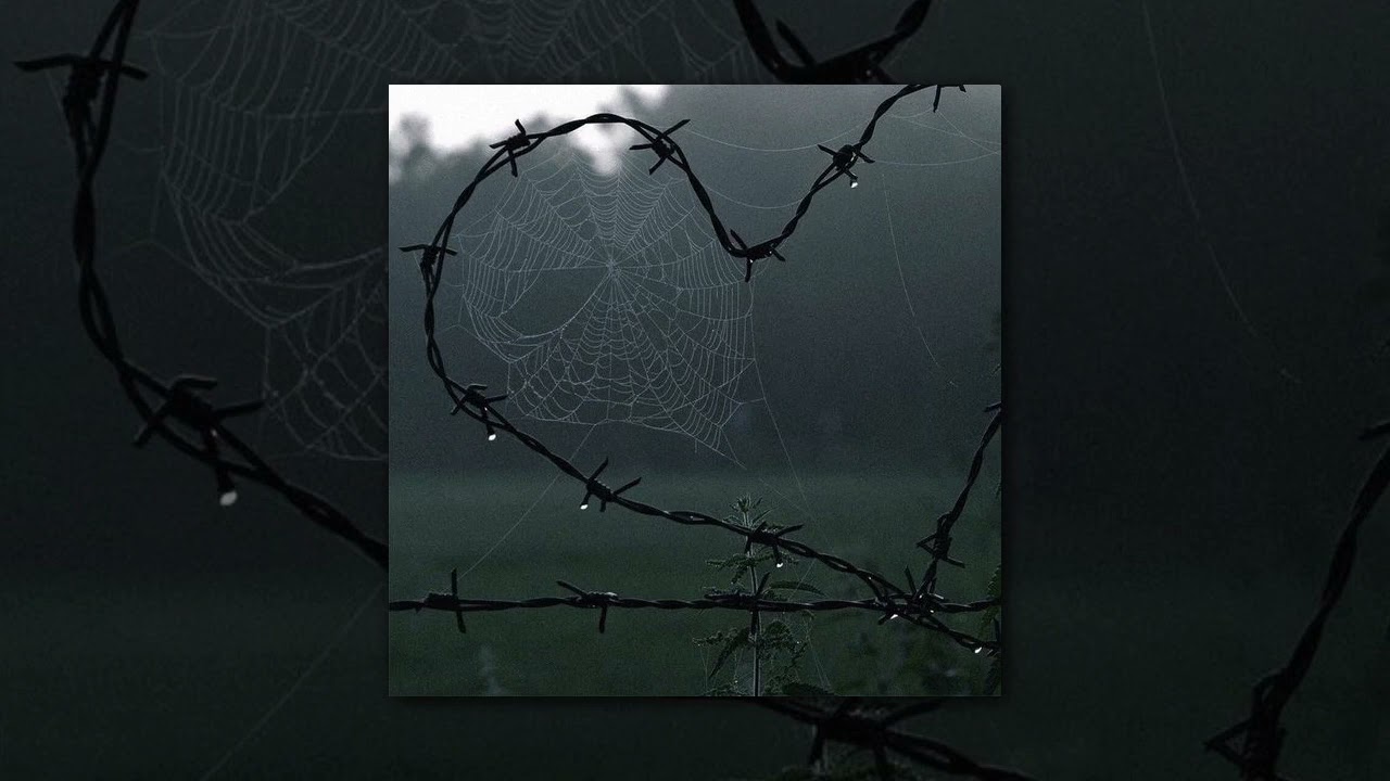 Petals | Hole [looped intro]