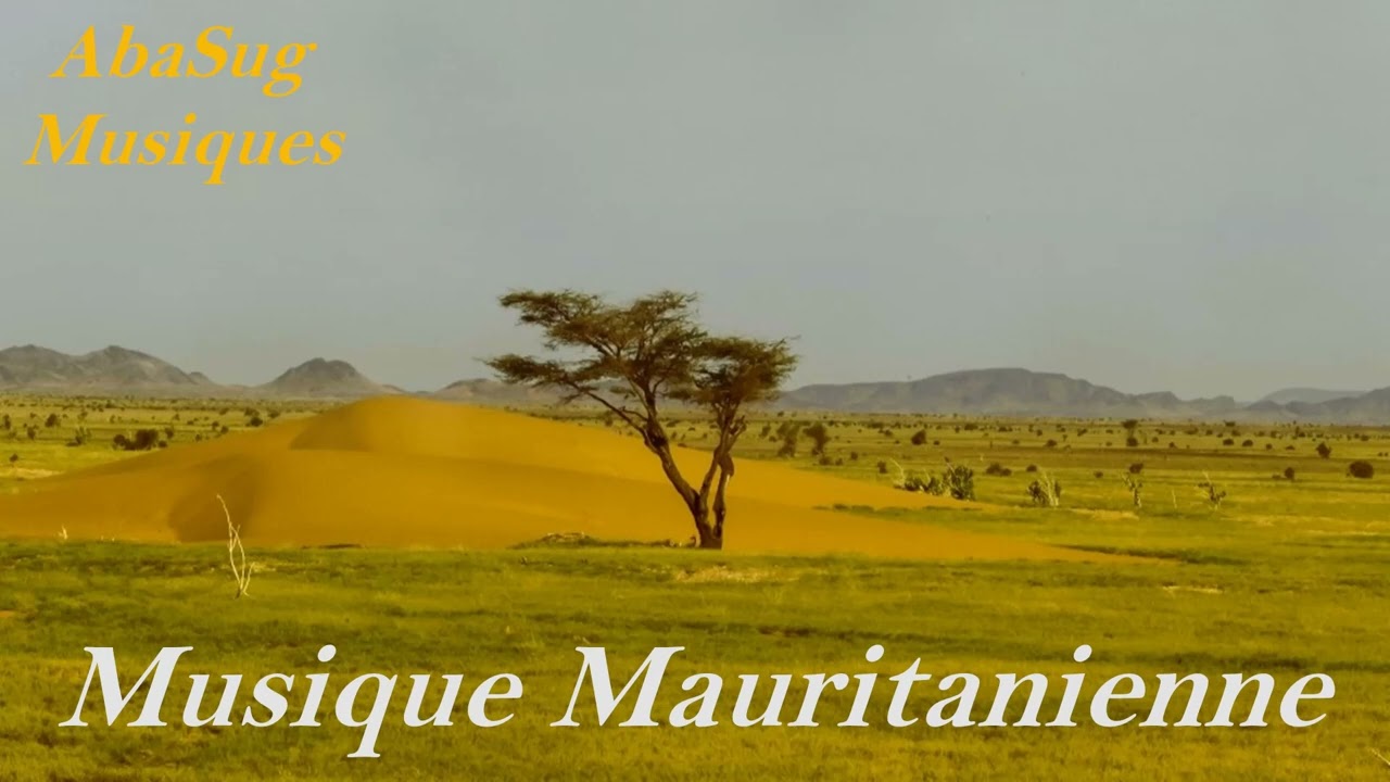 Musique Mauritanienne, Top Musiques