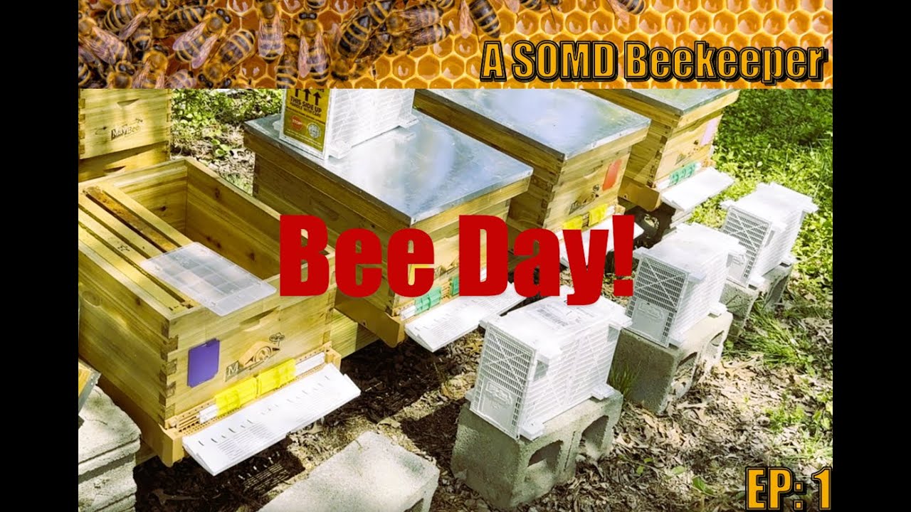 SOMD Beekeeping ep: 1 Bee-Day, a new journey