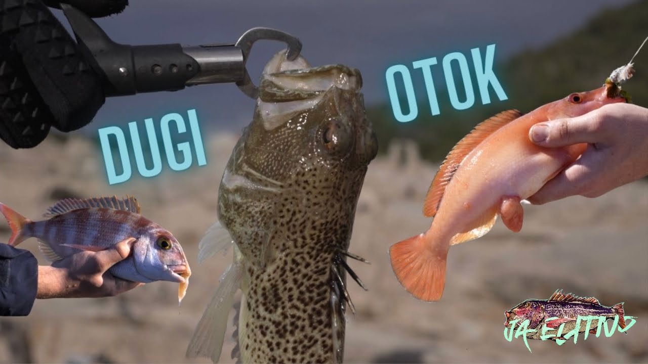 RIBOLOV POD KLIFI - Winter cliff fishing Croatia