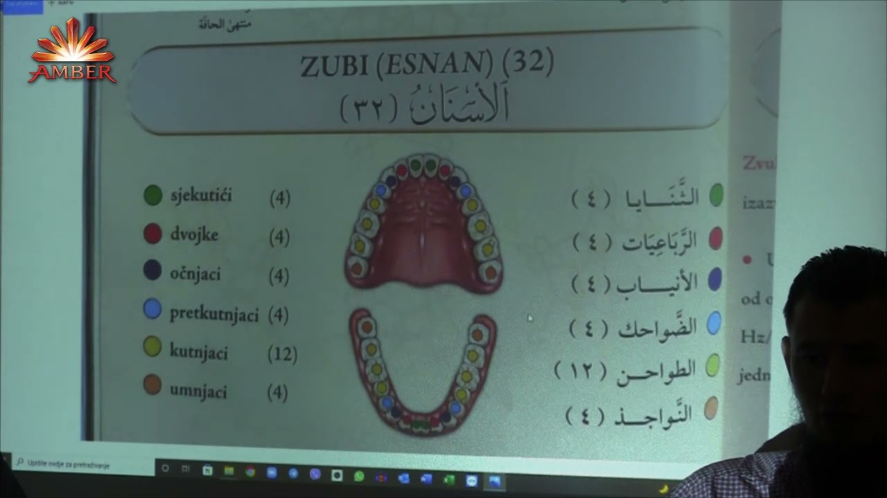 ILUSTRIRANI TEDŽVID 7. DIO-Dijelovi grla; Nepce; Dijelovi jezika; Zubi-Amar Gadžun