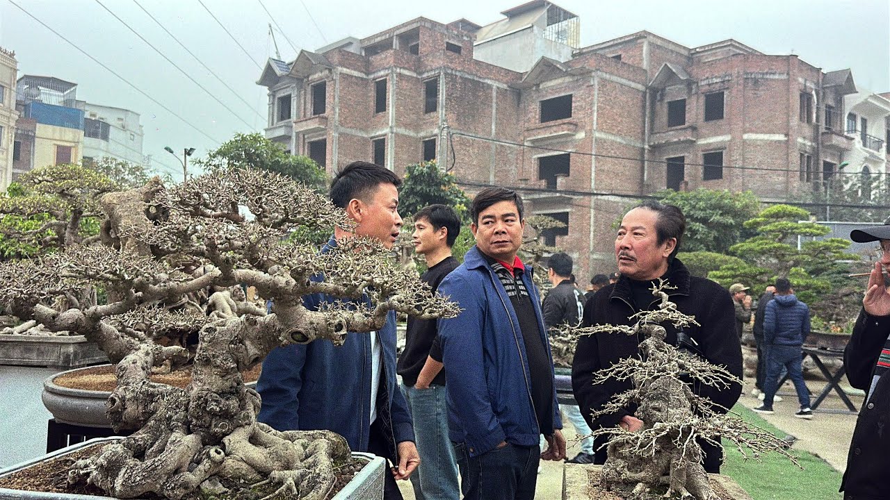 TIỆC TẤT NIÊN HỘI NHỮNG NGƯỜI YÊU CÂY CHƯƠNG MỸ MỞ RỘNG, khu lk Lộc Ninh Chương Mỹ HN | Quảng Tùng