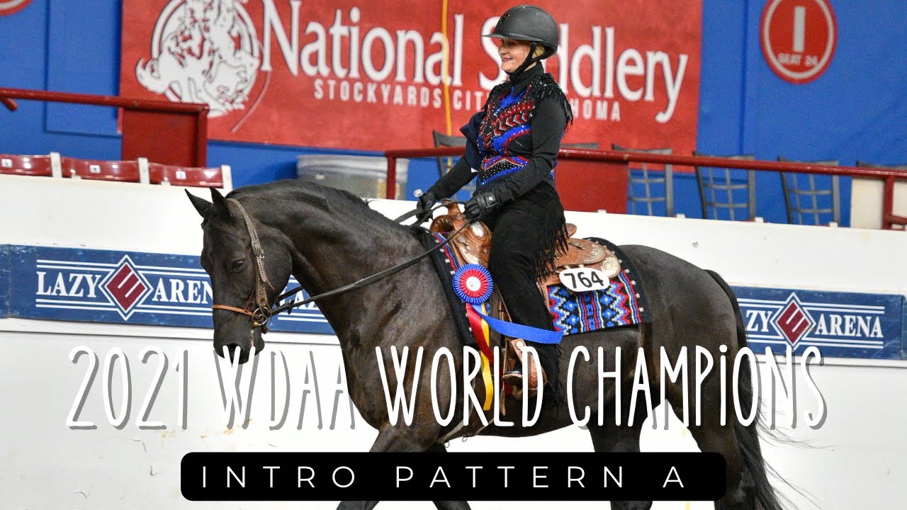 JamieLynne and First Impression 2021 WDAA World Champions Horsemanship Intro Pattern A 