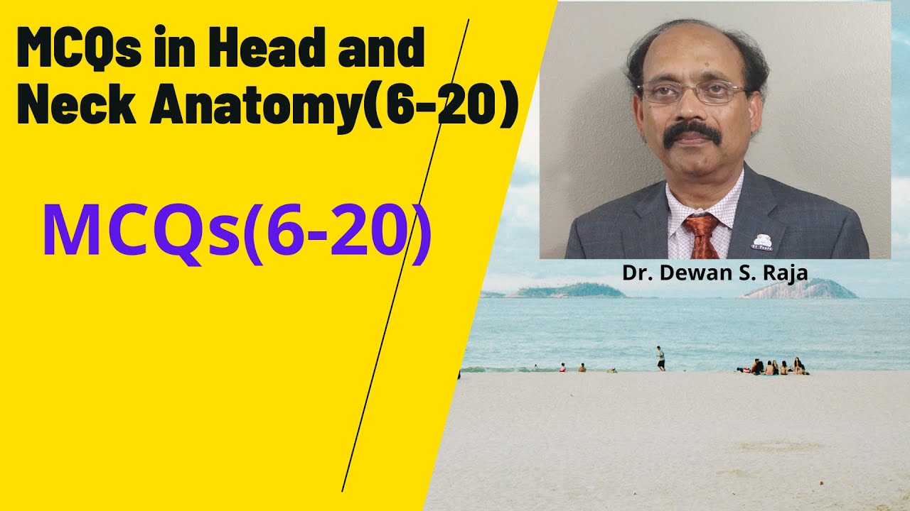 MCQs in Head and Neck Anatomy(6-20)