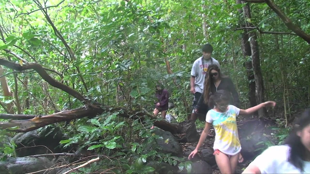 Maui Photo Trip (Punavision - August 2010)