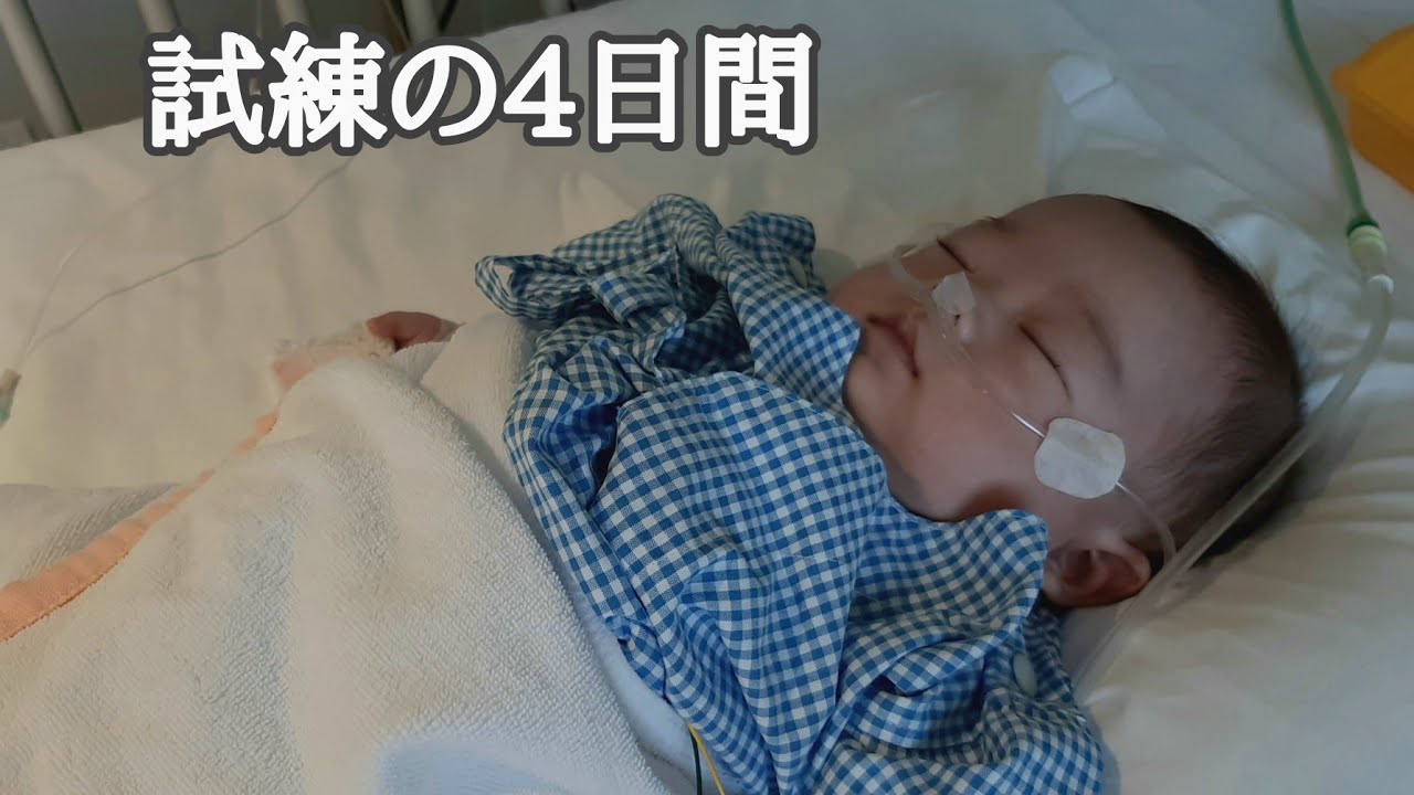 カテーテル入院の流れ/閲覧注意、輸血とツライ泣き声/衝撃のラスト