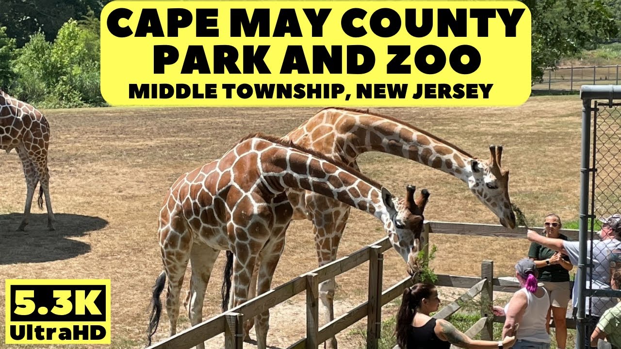 Cape May County Park And Zoo | Cape May, New Jersey
