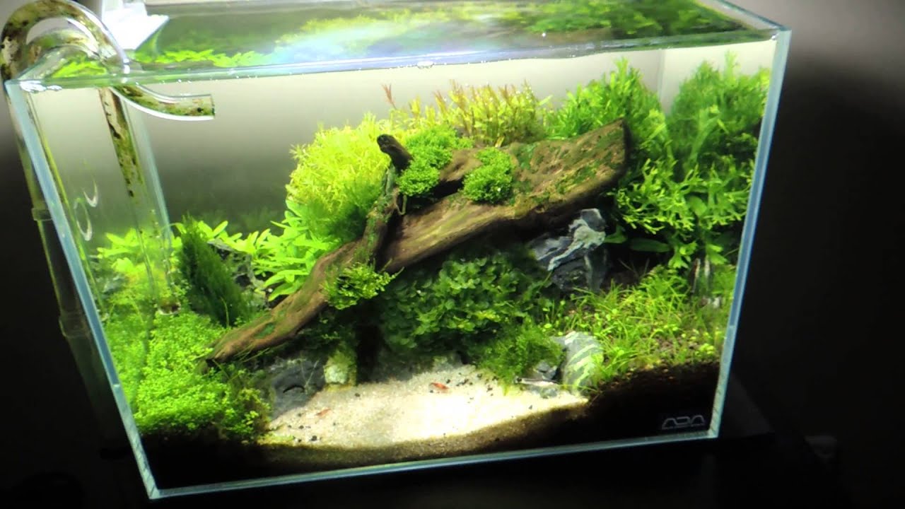 ADA Cube Garden Mini M no. 2