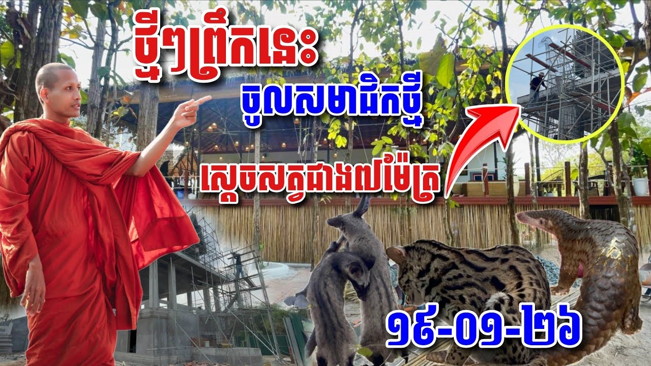 ថ្មីៗព្រឹកនេះ​ ចូលសមាជិកថ្មី គ្រោងសត្វមករកំពស់ជាង៧ម៉ែត #អាមាត្យជន 