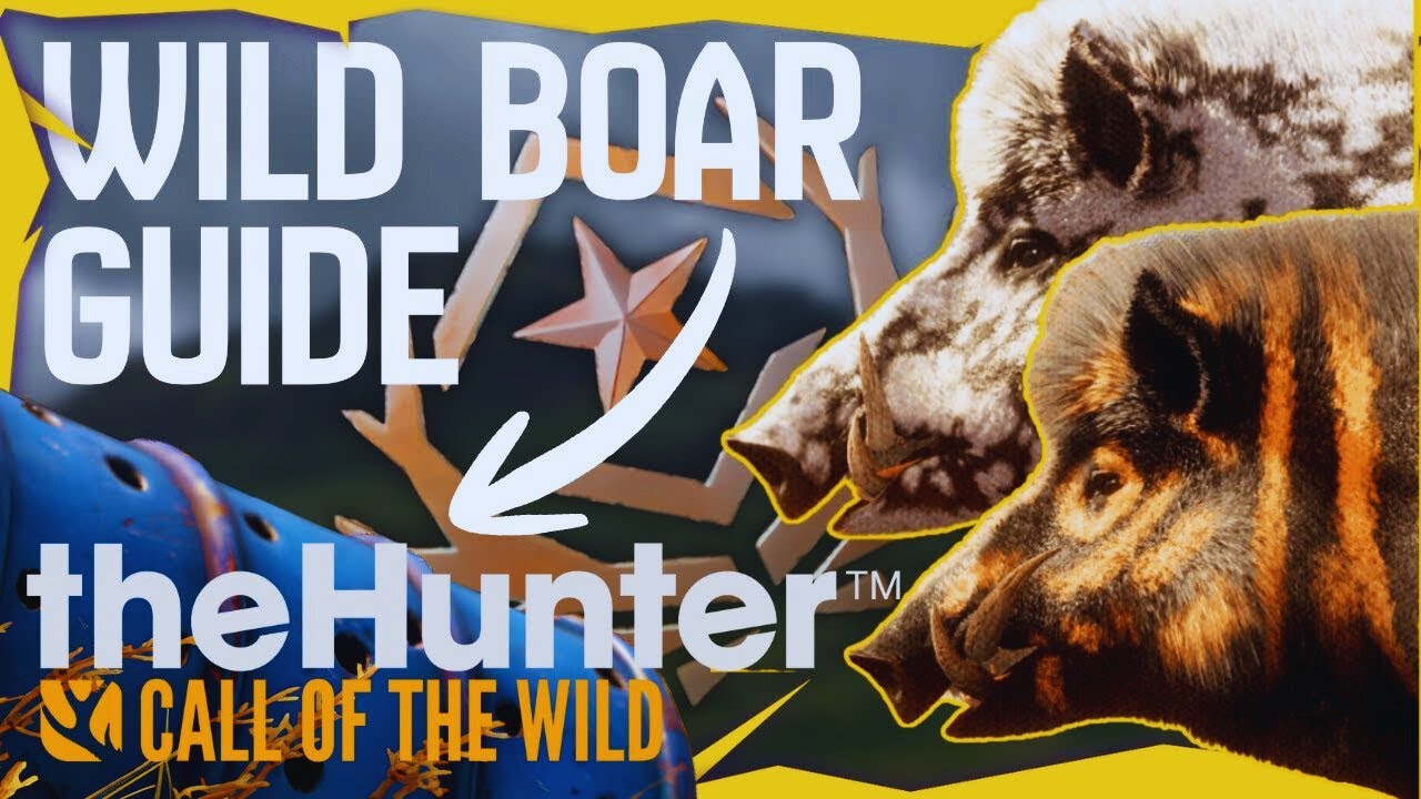 How to Use BAIT BARRELS to Spawn the NEW Great One BOAR! | theHunter Call of the Wild