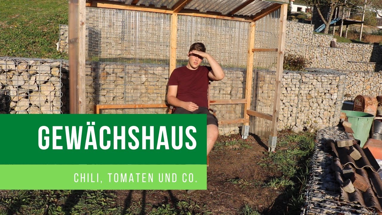 Gewächshaus für Chilis und warum sie gestorben sind! //GartenVLog