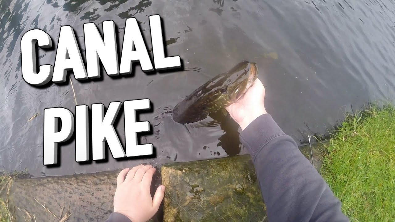 You Will Catch More Canal Pike On This Lure: With This Light Set-up